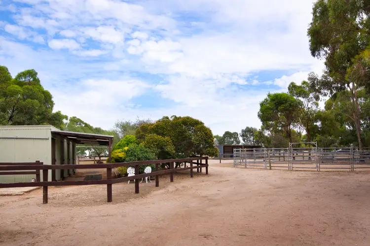 Fourth view of Homely rural property listing, 166 Springvale Road, Lockwood South VIC 3551