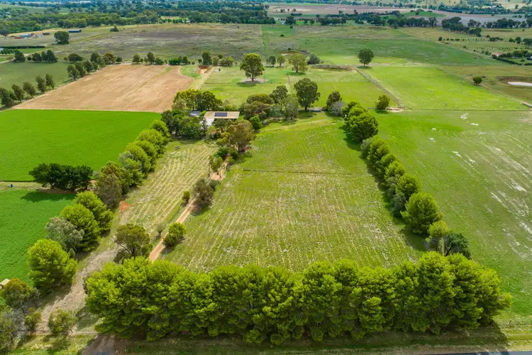 Second view of Homely rural property listing, 265 Porters Mount Road, Cowra NSW 2794