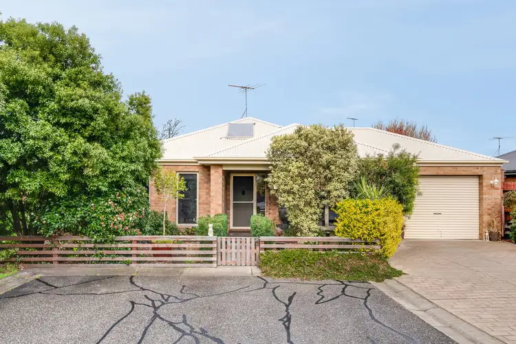 Main view of Homely house listing, 8 Redgum Court, Belmont VIC 3216