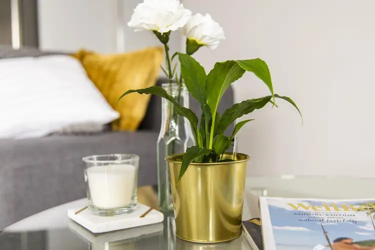 Sixth view of Homely apartment listing, 1/277 Acton Avenue, Kewdale WA 6105