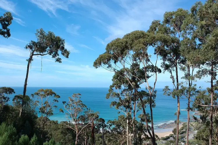 21 Karingal Drive, Wye River VIC 3234