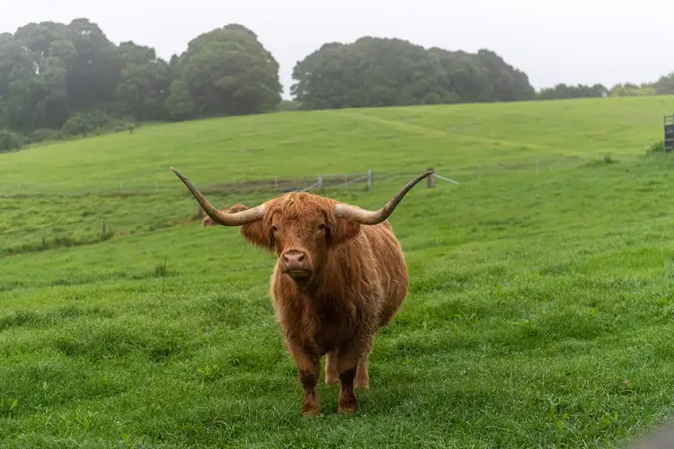 Fifth view of Homely house listing, 4951 Illawarra Highway, Robertson NSW 2577