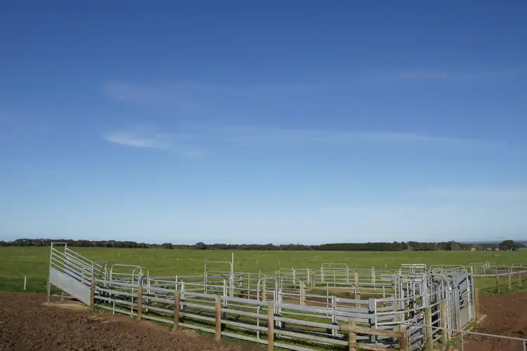 Sixth view of Homely rural property listing, Lot 2, 548 Curdievale-Port Campbell Road, Port Campbell VIC 3269