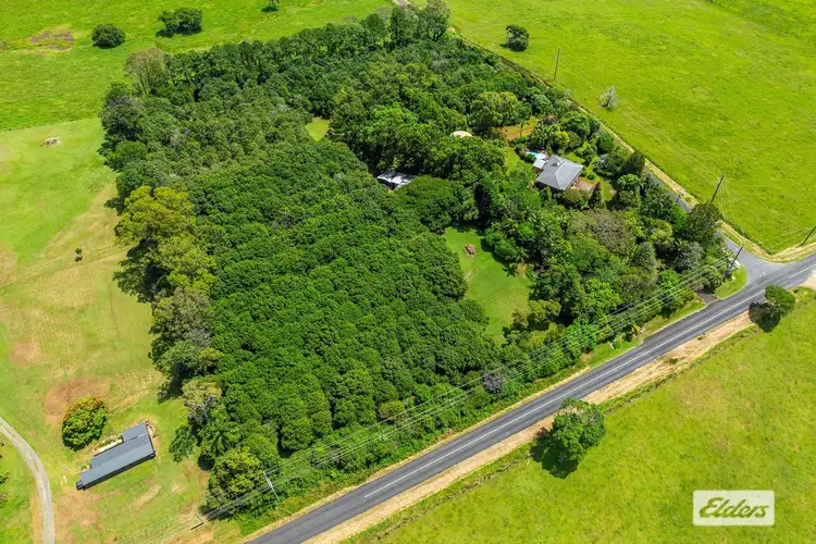 Second view of Homely rural property listing, 216 Ellis Road, Alstonville NSW 2477