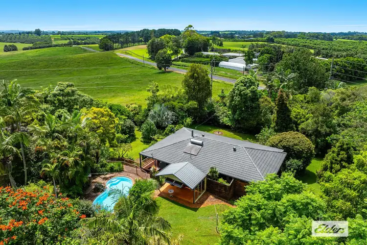 Fifth view of Homely rural property listing, 216 Ellis Road, Alstonville NSW 2477