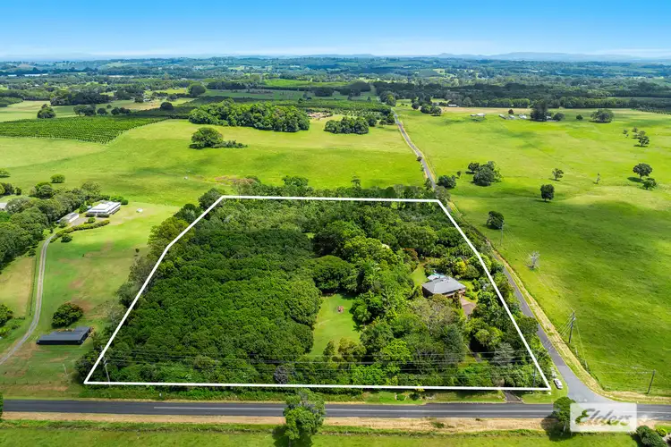 Sixth view of Homely rural property listing, 216 Ellis Road, Alstonville NSW 2477