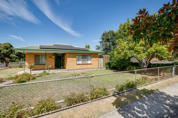Main view of Homely house listing, 559 - 561 Douglas Road, Lavington NSW 2641
