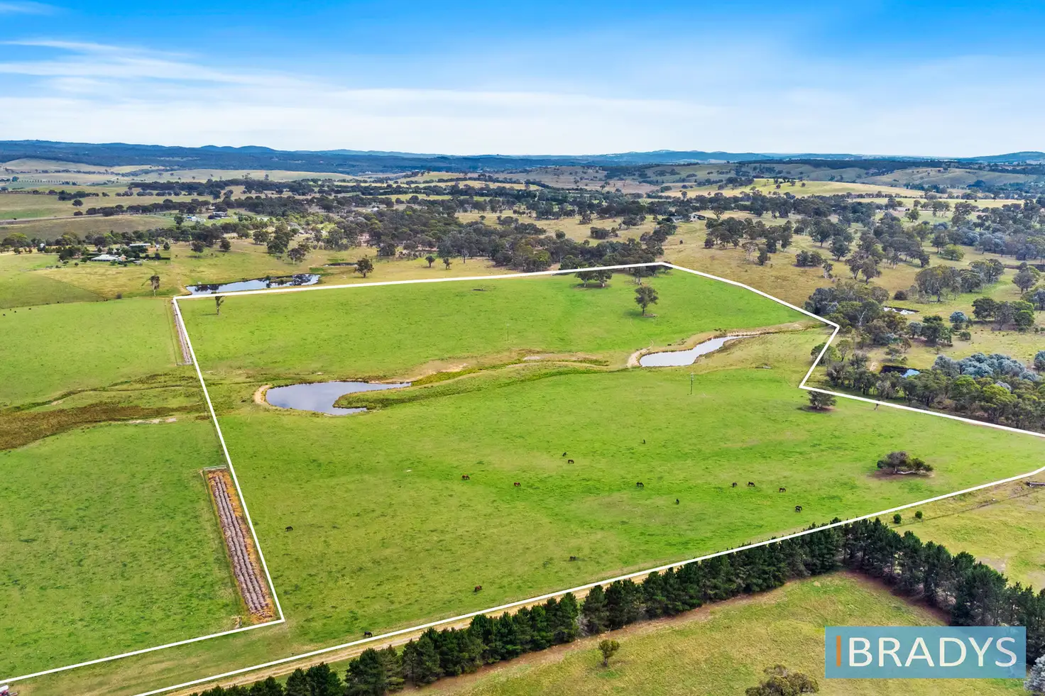 Main view of Homely land listing, 4348 Gundaroo Road, Gundaroo NSW 2620