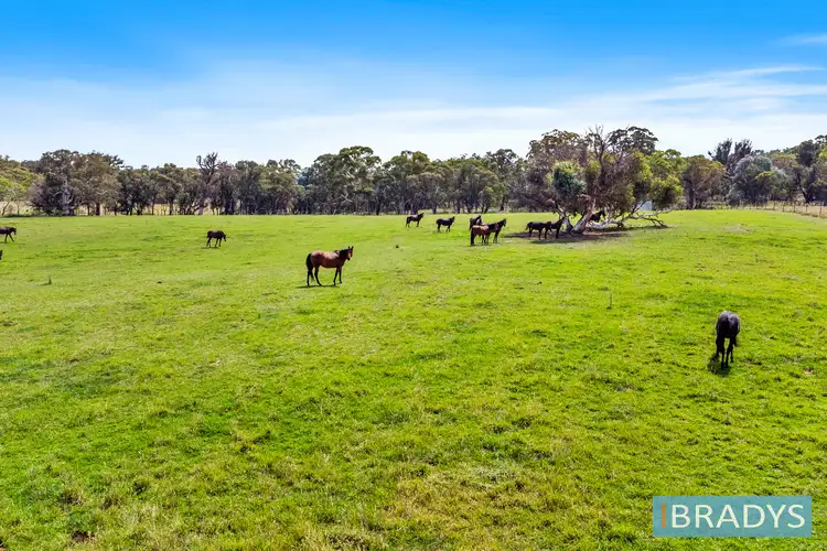 Fourth view of Homely land listing, 4348 Gundaroo Road, Gundaroo NSW 2620