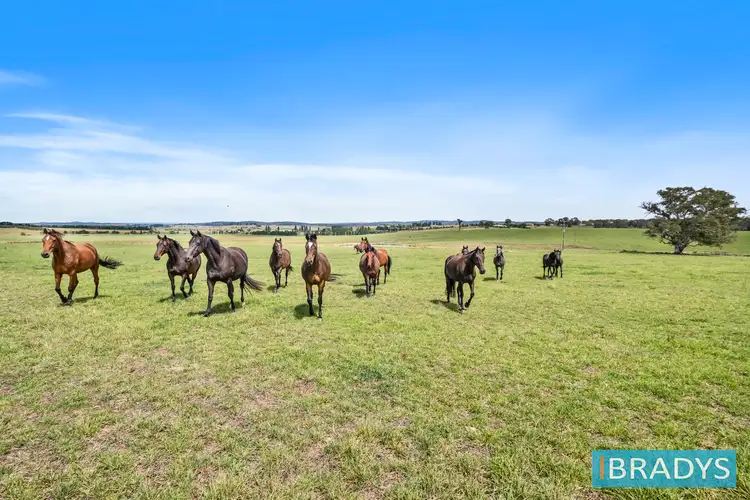 Seventh view of Homely land listing, 4348 Gundaroo Road, Gundaroo NSW 2620