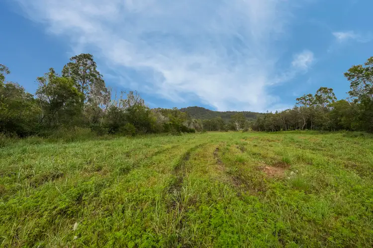 Second view of Homely rural property listing, 781 Firth Heinz Road, Pillar Valley NSW 2462