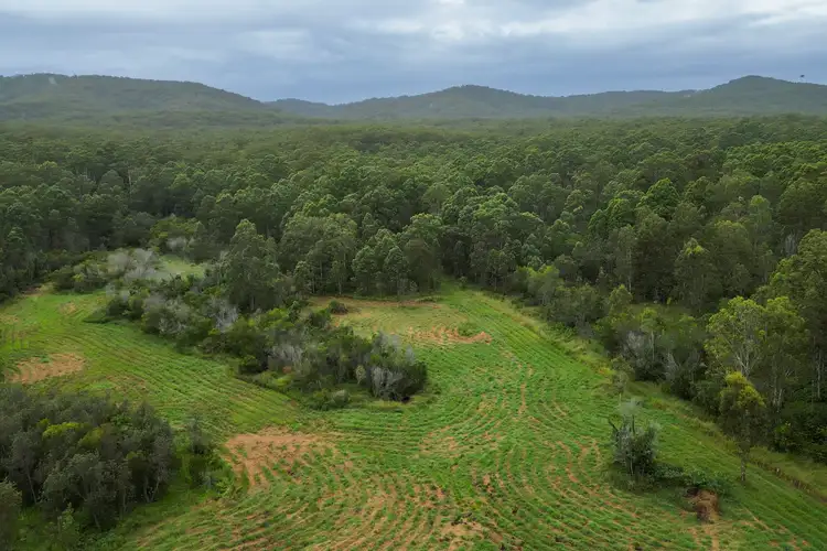 Third view of Homely rural property listing, 781 Firth Heinz Road, Pillar Valley NSW 2462
