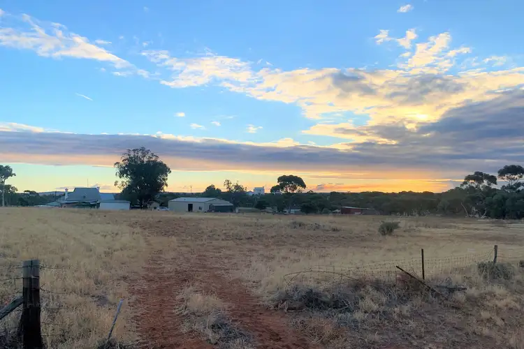 5 Sunkist Road, Crystal Brook SA 5523