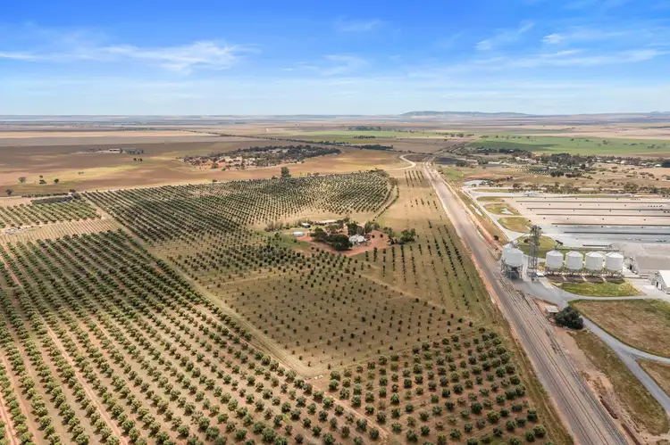 55 Kallora Road, Bowmans SA 5550