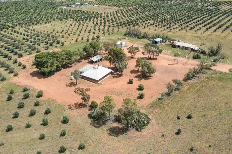 Second view of Homely rural property listing, 55 Kallora Road, Bowmans SA 5550
