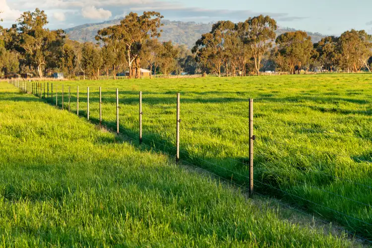 Fifth view of Homely rural property listing, 111 Moglonemby Road, Euroa VIC 3666