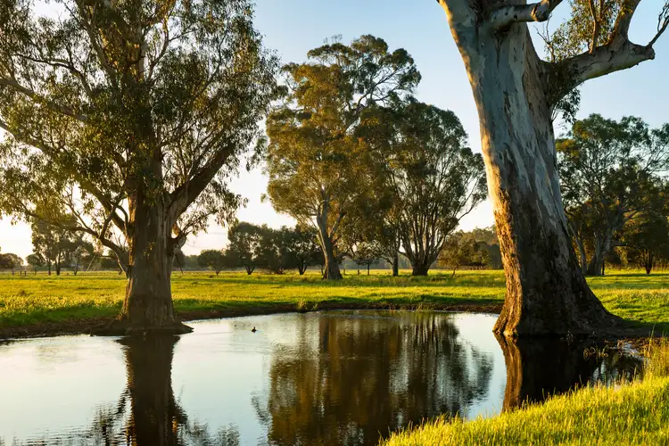 Seventh view of Homely rural property listing, 111 Moglonemby Road, Euroa VIC 3666