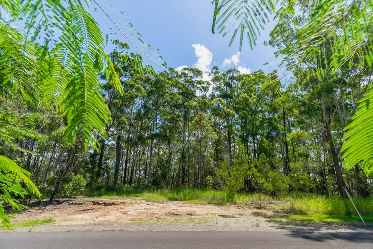 155 Mons School Road, Buderim QLD 4556