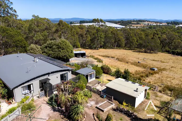 Fifth view of Homely house listing, 14 HIllwood Road, Hillwood TAS 7252