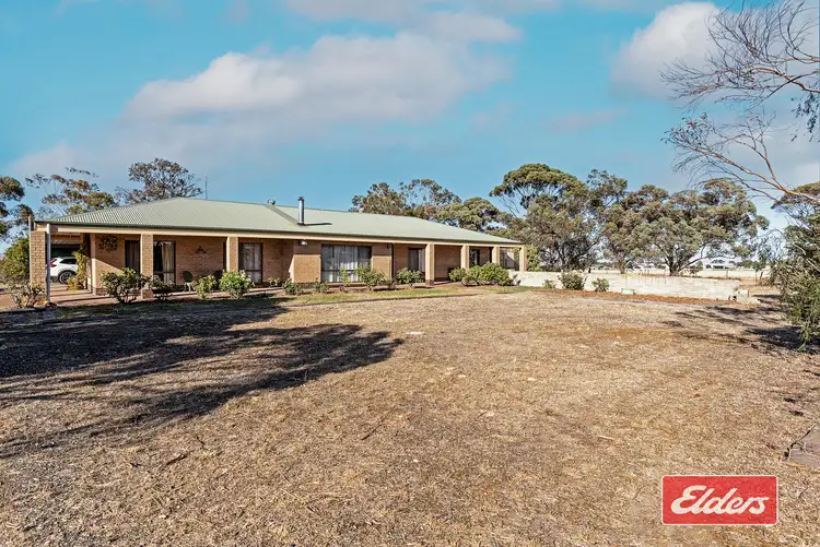Second view of Homely house listing, 134 Roseworthy Road, Roseworthy SA 5371