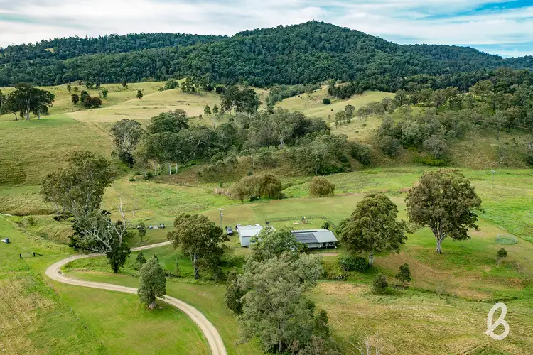 Second view of Homely rural property listing, 313 Cranky Corner Road, Glendon Brook NSW 2330
