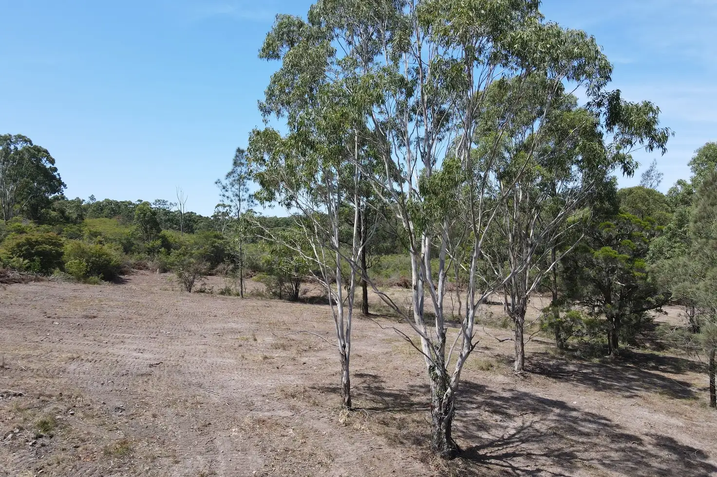 Main view of Homely rural property listing, Lot 33/448 East Seaham Road, East Seaham NSW 2324