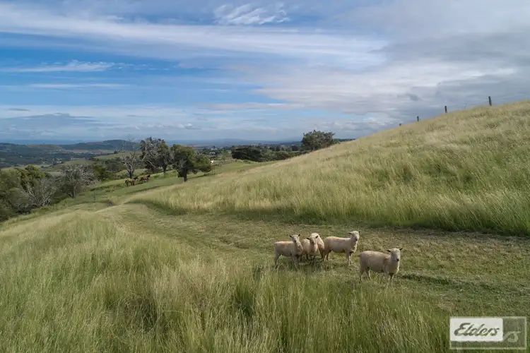 Second view of Homely house listing, 198 Tallegalla Two Tree Hill Road, Tallegalla QLD 4340