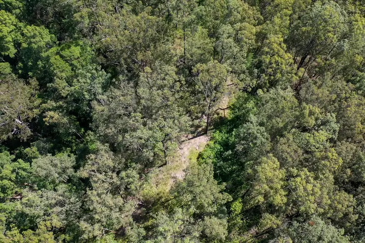 Seventh view of Homely land listing, 534 Cangai Road, Jackadgery NSW 2460
