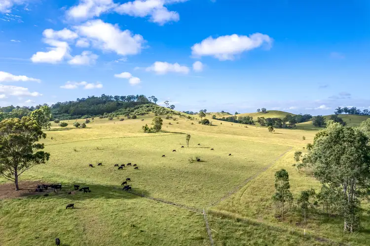 420 Cut Hill Road, Cobbitty NSW 2570