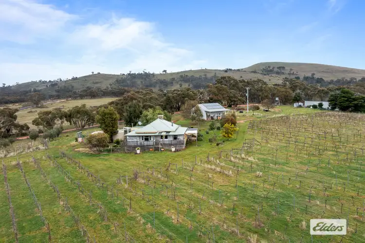 Third view of Homely rural property listing, 143 Rifle Butts Road, Landsborough VIC 3384