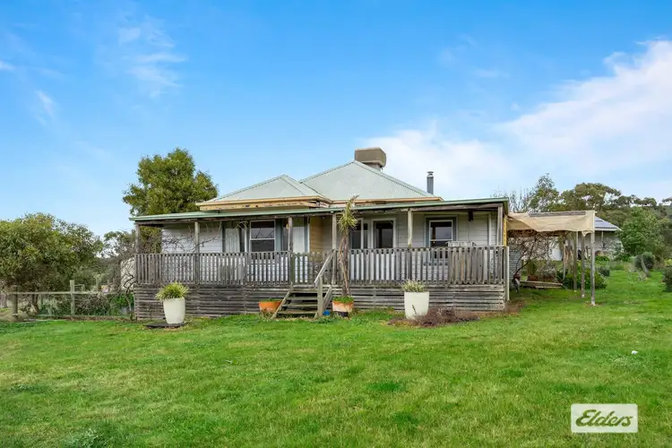 Fourth view of Homely rural property listing, 143 Rifle Butts Road, Landsborough VIC 3384