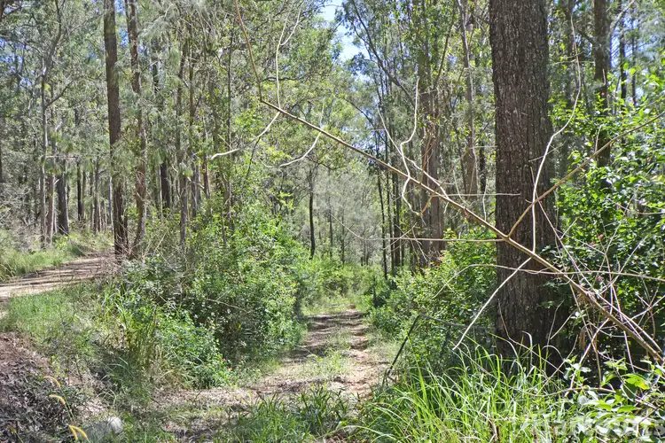 Seventh view of Homely rural property listing, Lot 1 Clarefield Dungay Creek Road, Marlo Merrican NSW 2441