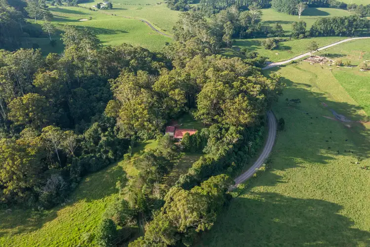 Second view of Homely rural property listing, 3247 Wingham Road, Comboyne NSW 2429