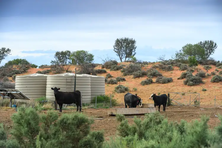 Seventh view of Homely rural property listing, 3042 Lake Torrens Homestead Road, Hawker SA 5434