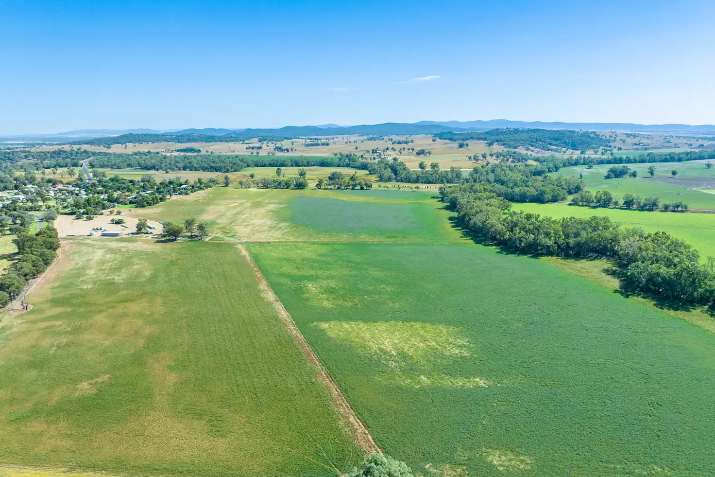 Main view of Homely rural property listing, Kangarooby Road, Gooloogong NSW 2805