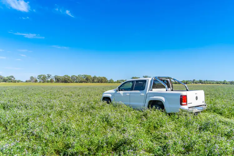 Third view of Homely rural property listing, Kangarooby Road, Gooloogong NSW 2805