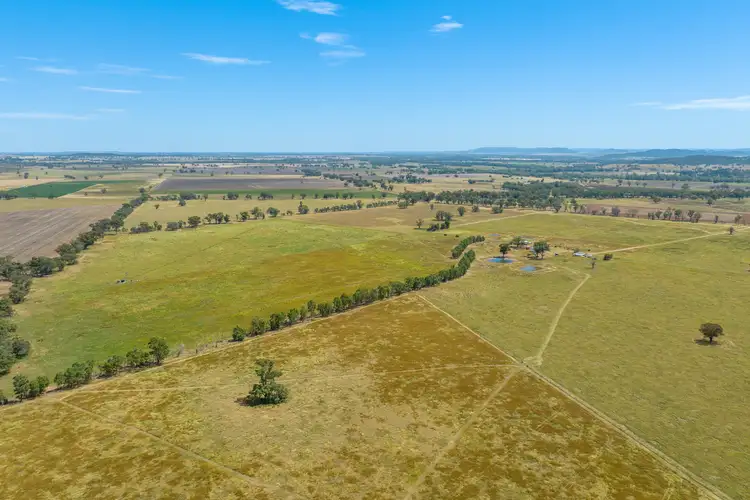 Main view of Homely rural property listing, 69 Nelligan Road, Gooloogong NSW 2805