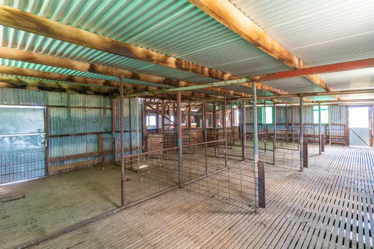Sixth view of Homely rural property listing, 69 Nelligan Road, Gooloogong NSW 2805