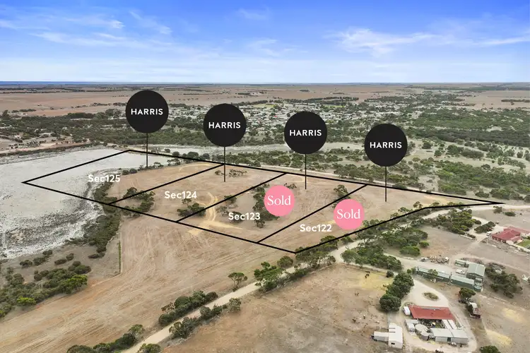 Main view of Homely land listing, 20 Lakeview Road, Minlaton SA 5575
