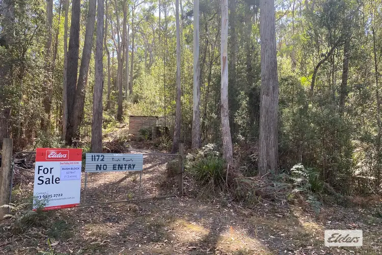 Main view of Homely rural property listing, 1172 Wilmot Road, Kindred TAS 7310