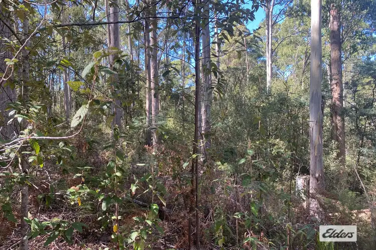 Fourth view of Homely rural property listing, 1172 Wilmot Road, Kindred TAS 7310