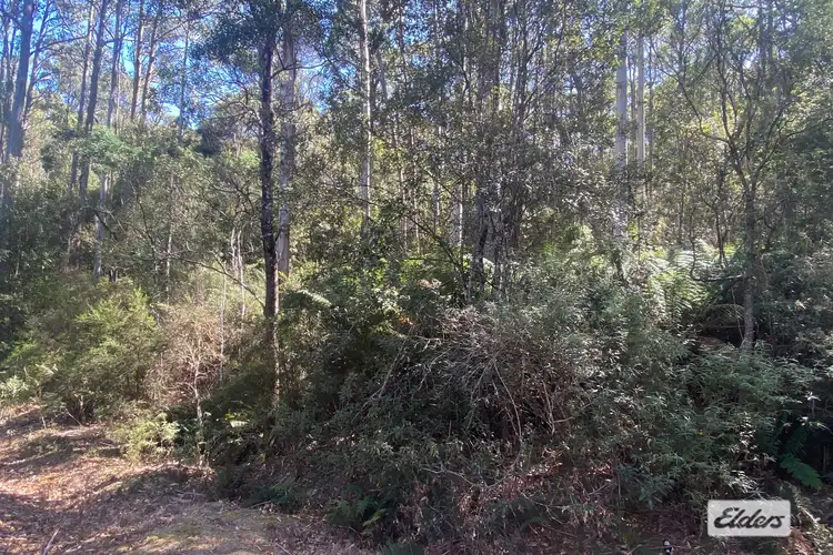 Fifth view of Homely rural property listing, 1172 Wilmot Road, Kindred TAS 7310