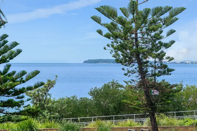 Main view of Homely unit listing, 3/105 The Grand Parade, Brighton-Le-Sands NSW 2216