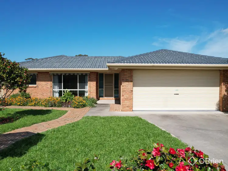 Second view of Homely house listing, 31 Balmoral Crescent, Eastwood VIC 3875