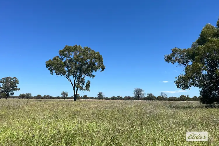 Warrego Highway, Morven QLD 4468