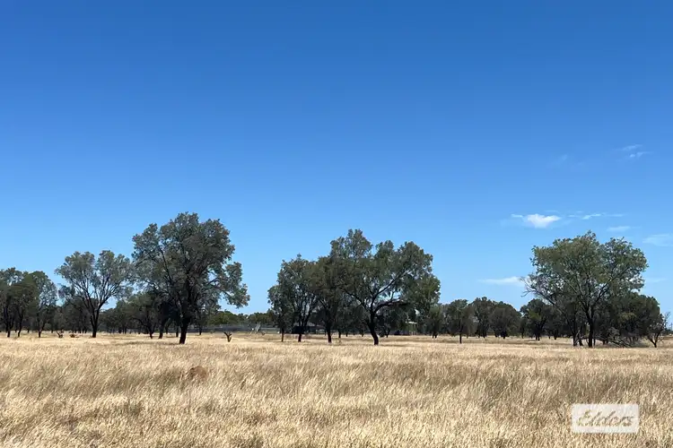 Sixth view of Homely rural property listing, Warrego Highway, Morven QLD 4468