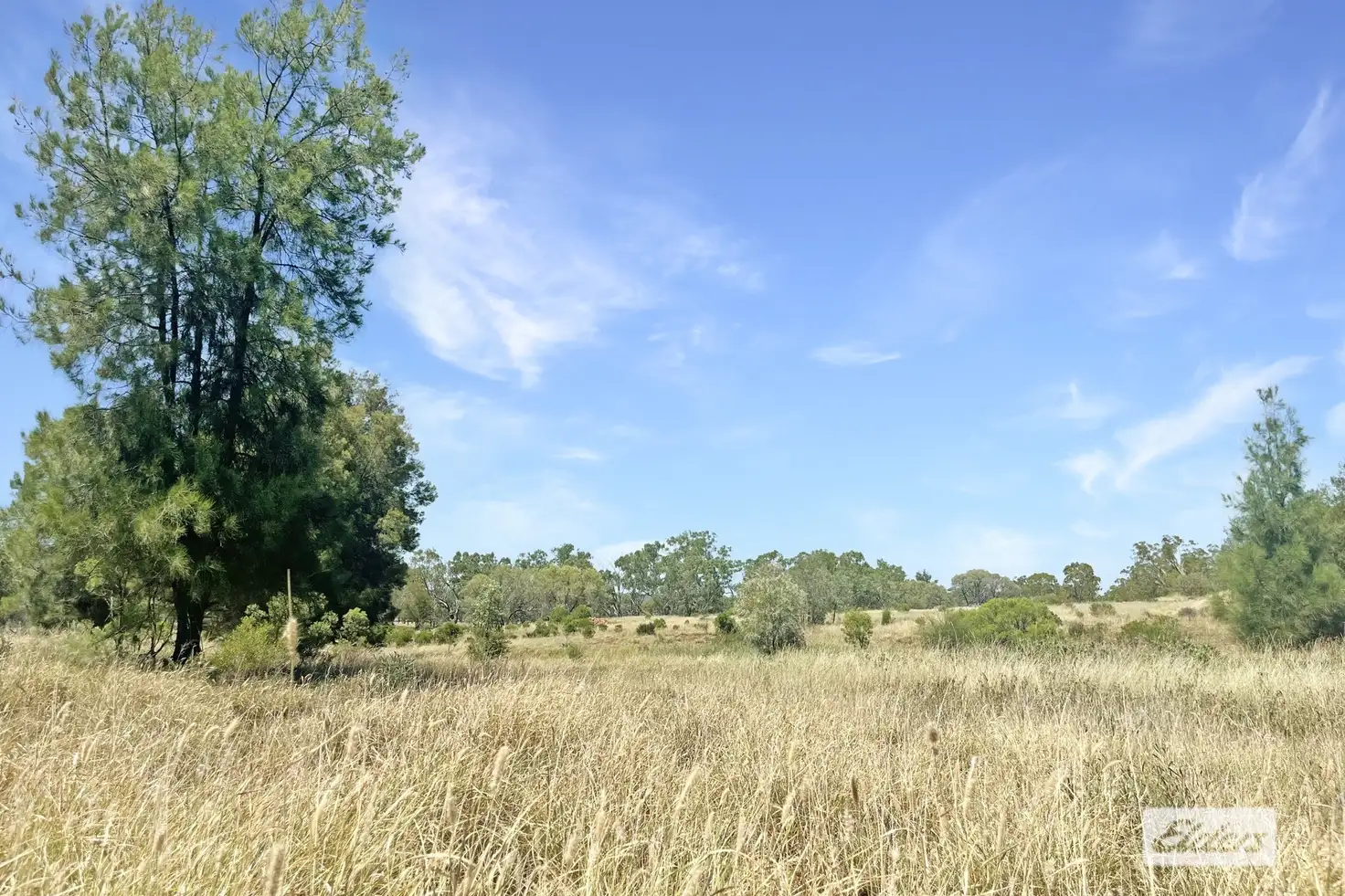Main view of Homely rural property listing, 27926 Carnarvon Highway, Tingun QLD 4455
