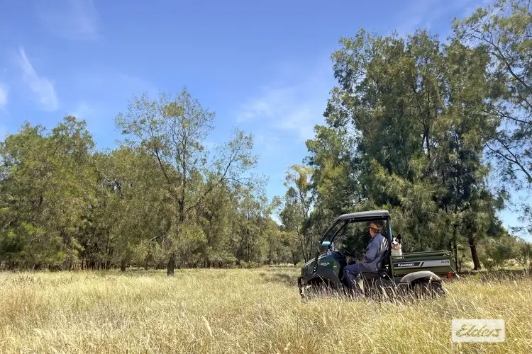 Fourth view of Homely rural property listing, 27926 Carnarvon Highway, Tingun QLD 4455