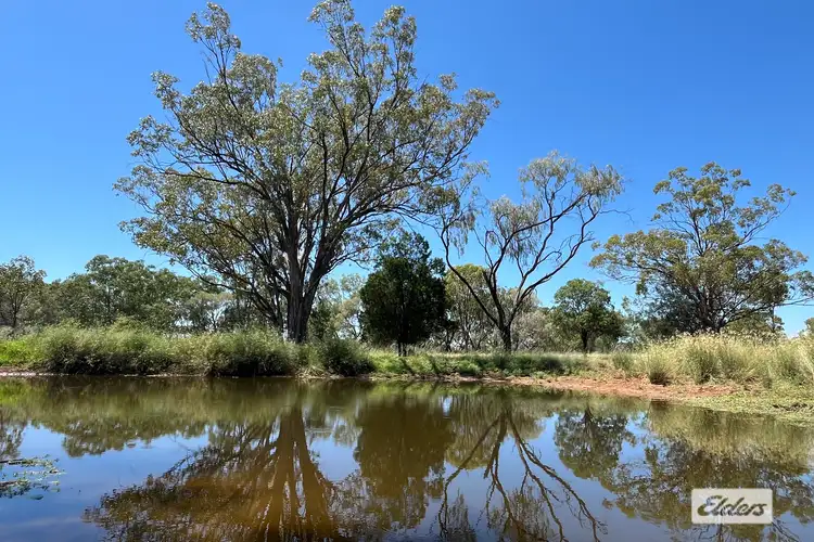Fifth view of Homely rural property listing, 27926 Carnarvon Highway, Tingun QLD 4455