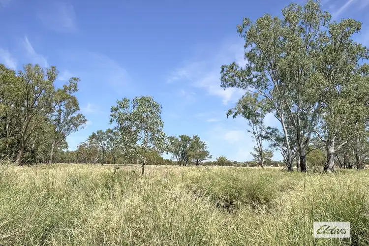 Seventh view of Homely rural property listing, 27926 Carnarvon Highway, Tingun QLD 4455